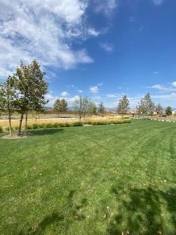 Green Belt - 27457 Viero Pl