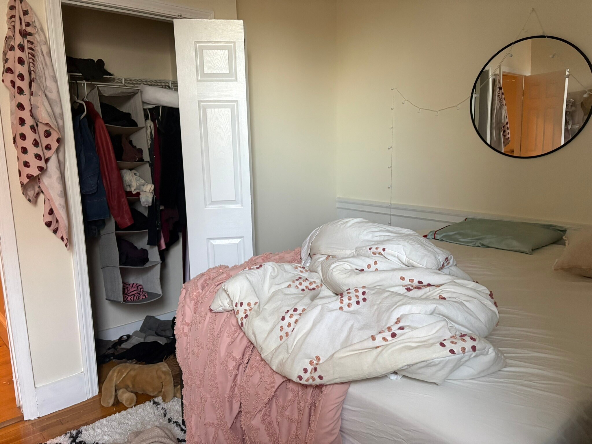 Building Photo - 62 Egmont St