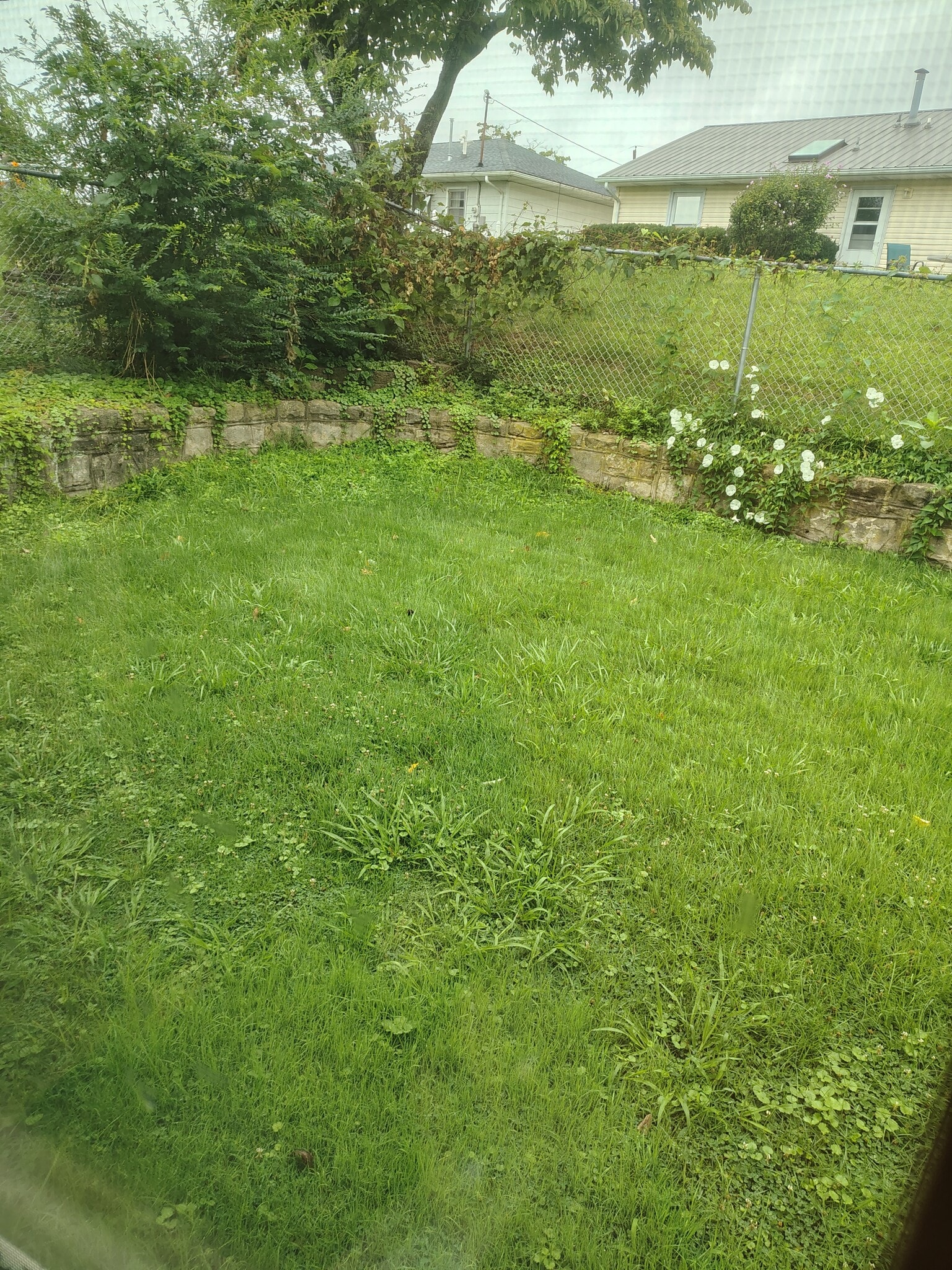 Back yard - 3125 Brereton Ct