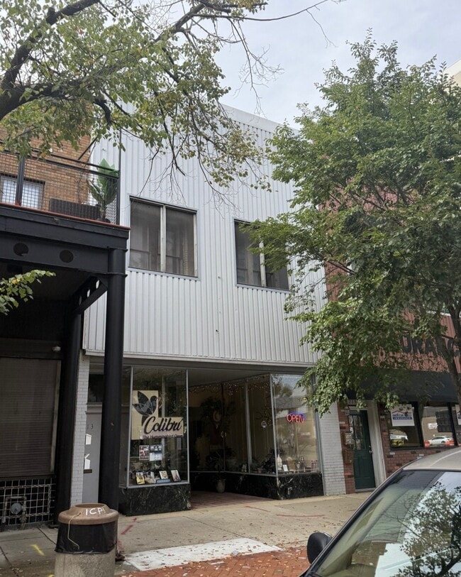 Building Photo - 213 N Chicago St