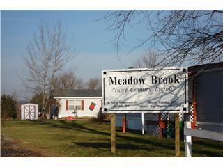 Primary Photo - Meadow Brook