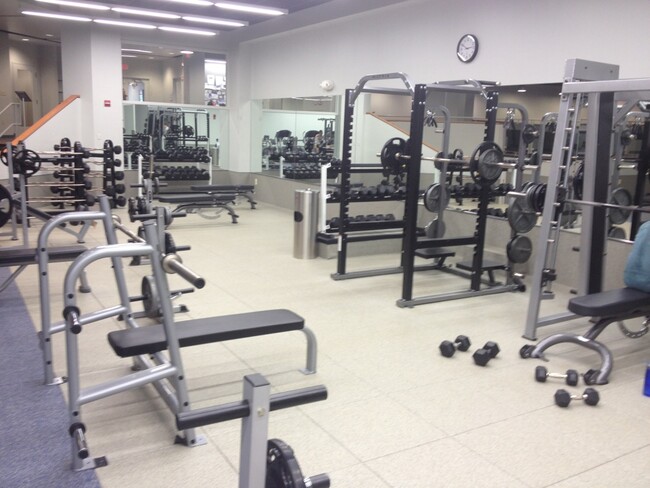 Free Weight Area at Gym - 1011 Arlington Blvd