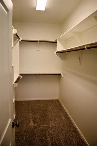 Building Photo - 7024 Llano Dr