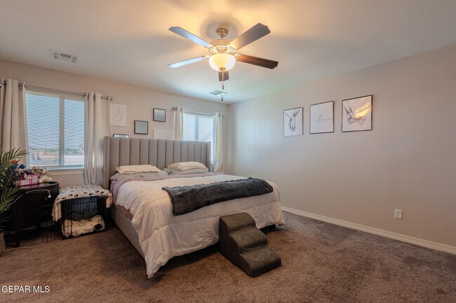Building Photo - 305 Del Palmar