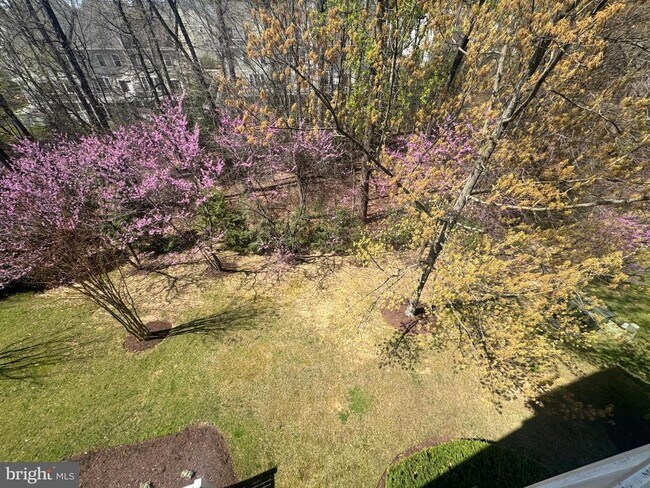 Building Photo - 2604 Chapel Lake Dr