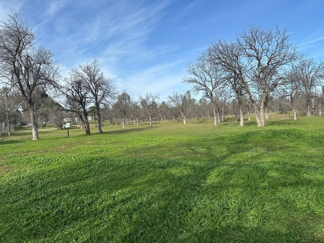 Building Photo - Peaceful Country Living on 2 Fenced Acres