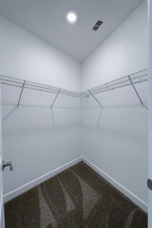 Building Photo - 3014 Camden Wy