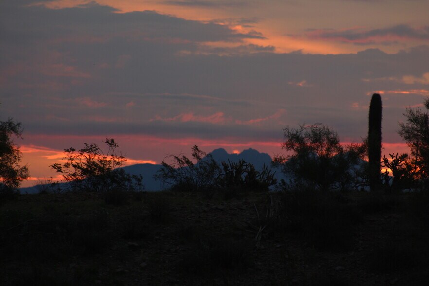 Building Photo - 10401 N Saguaro Blvd