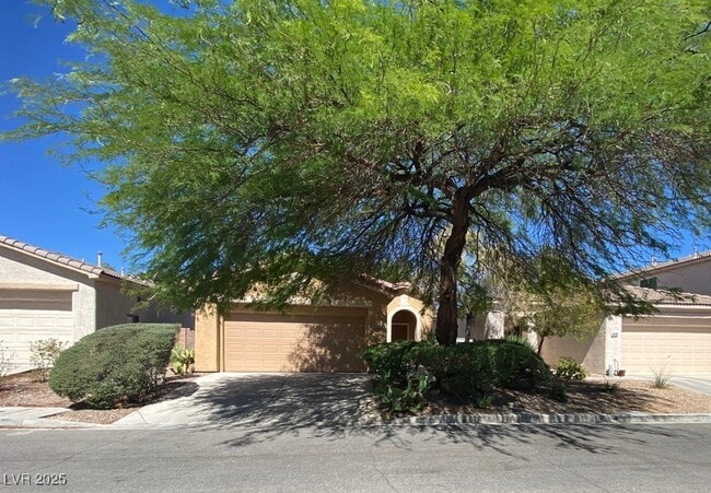 Primary Photo - 10789 Muscari Way