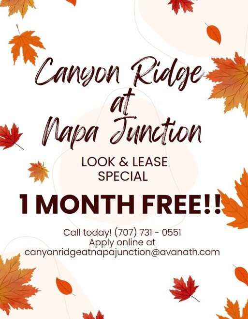 Look & Lease Special Offer! - Canyon Ridge at Napa Junction