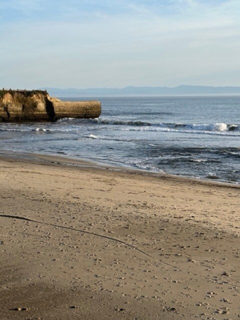 Building Photo - 755 14th Ave