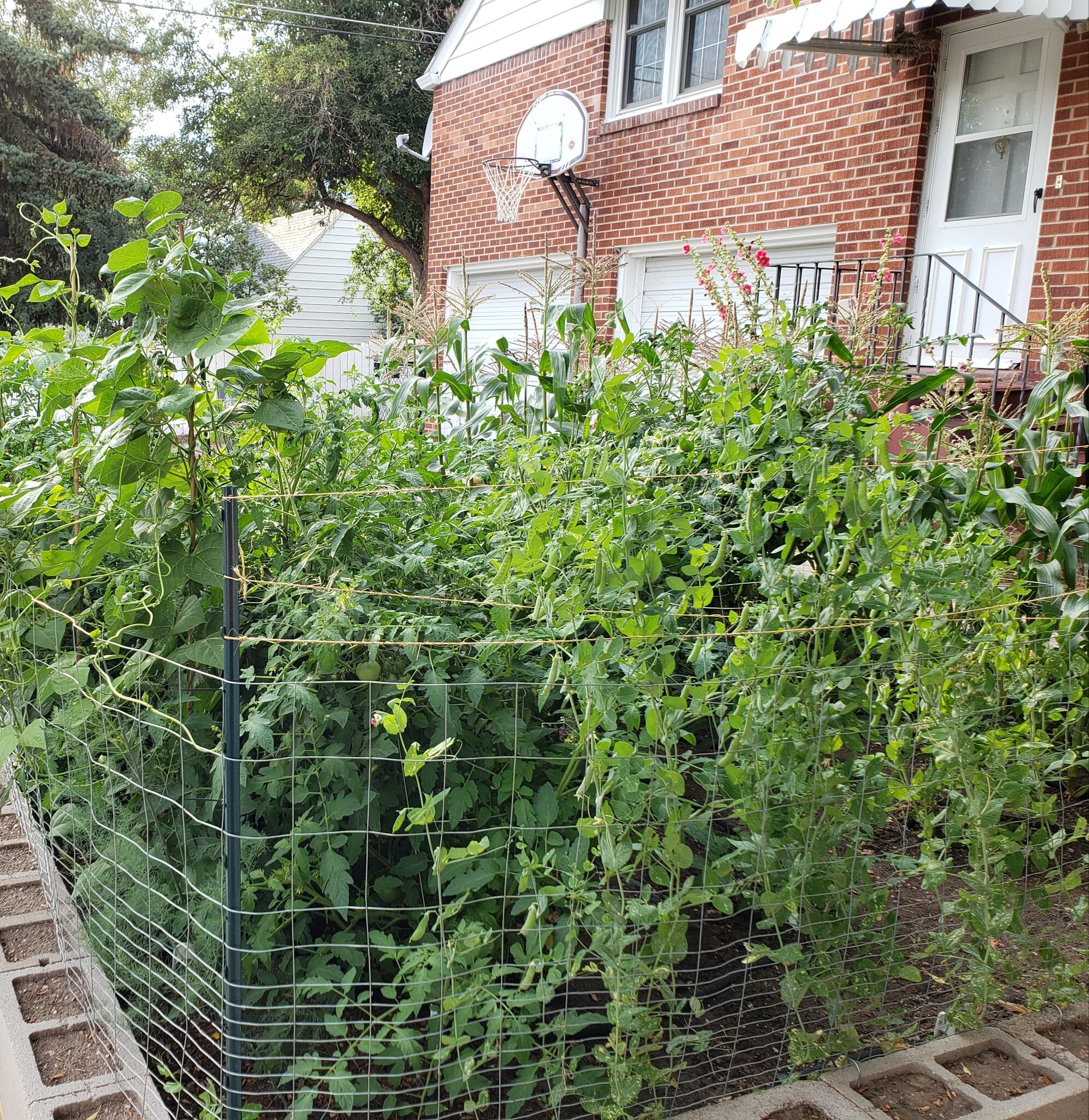 Building Photo - 901 Country Club Ave