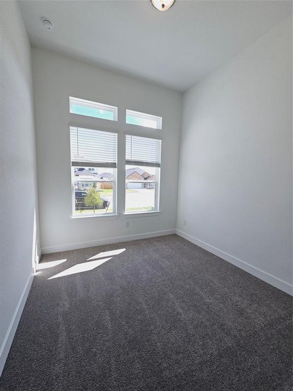 Building Photo - 4505 Cool Gray Cv