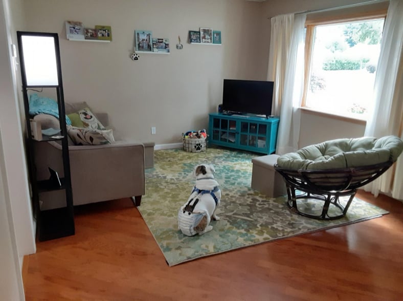 Building Photo - 50 Beechnut Terrace