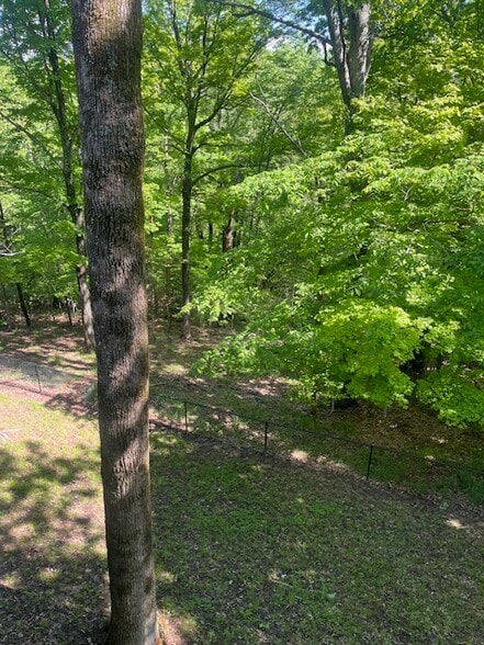 Building Photo - 102 Pineland Ln