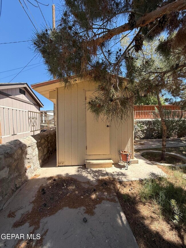 Building Photo - 10449 Chinaberry Dr