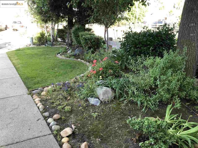 Building Photo - 861 Orchid Ct