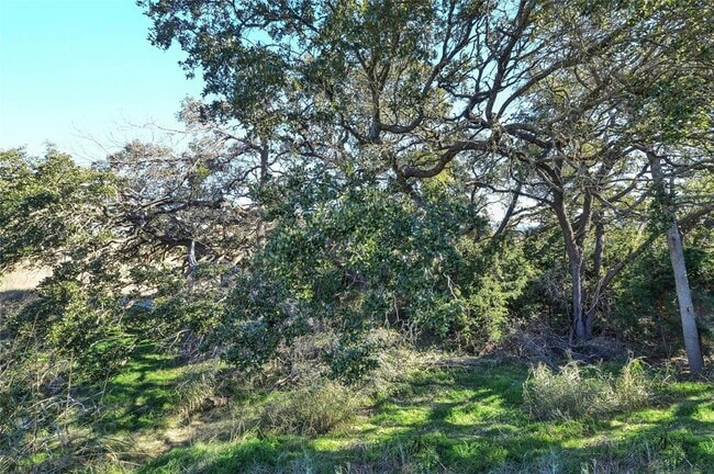 Building Photo - 424 Red Buckeye Loop