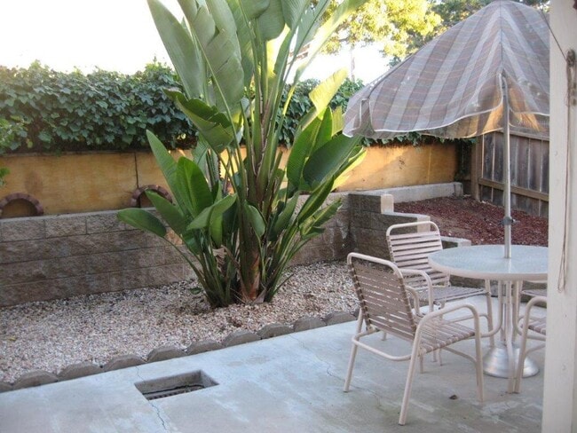 Back yard space - 1388 Palomar Pl