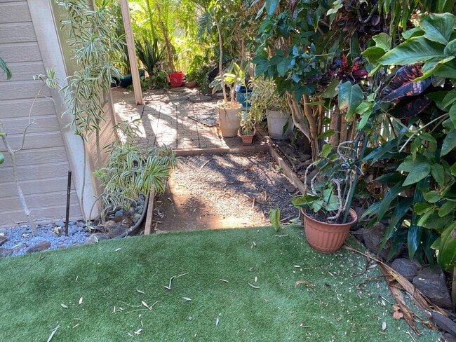 Building Photo - South Pointe Kihei Two Bedroom