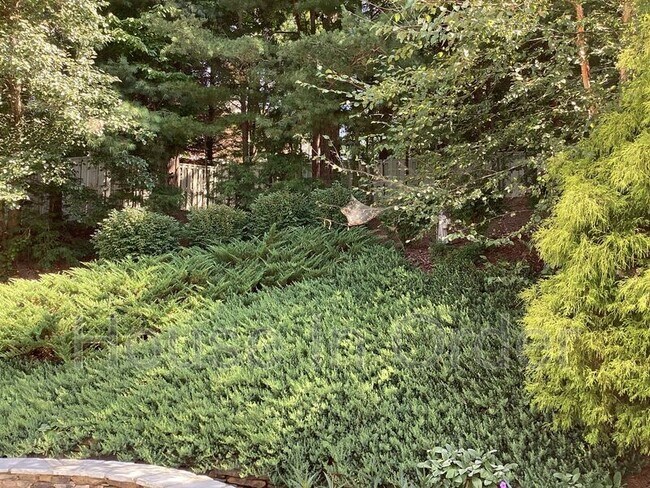 Building Photo - 49 White Ash Dr