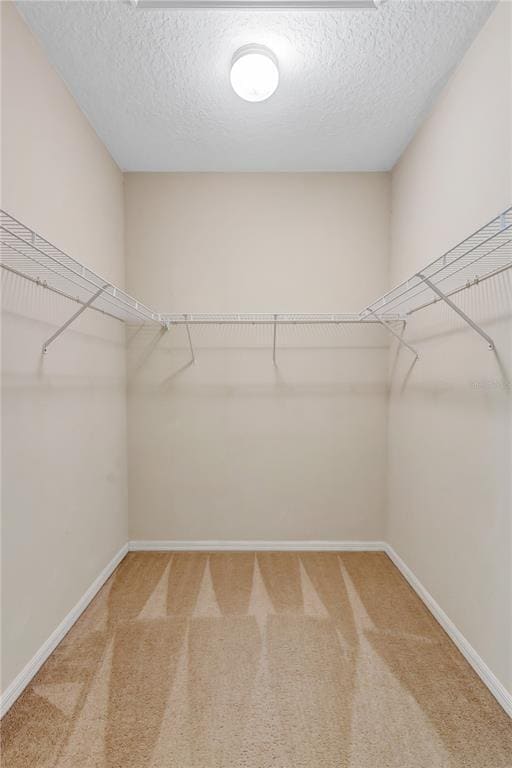 Building Photo - 14030 Waterville Cir