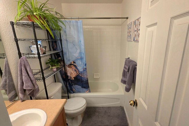 Building Photo - 3 Bedroom Home in Ridgeview at Stetson Hills