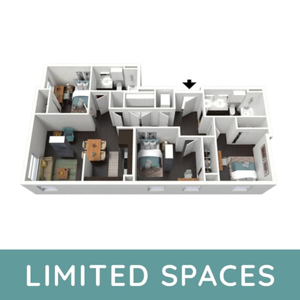 NuttyBrown_a_Limited - Skyloft Austin