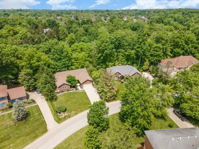 Building Photo - 1703 Cottontail Dr