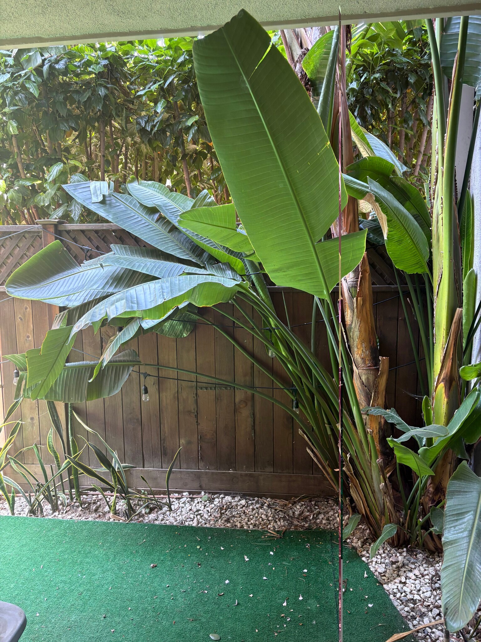 Building Photo - 6505 Green Valley Cir