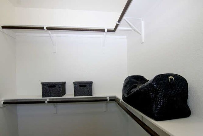 Building Photo - 718 Tinton Falls Ln