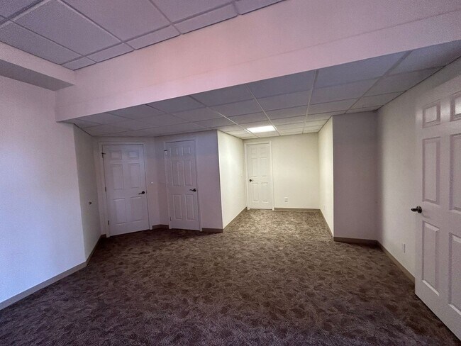 Building Photo - Spacious Daylight Apartment in Hamilton