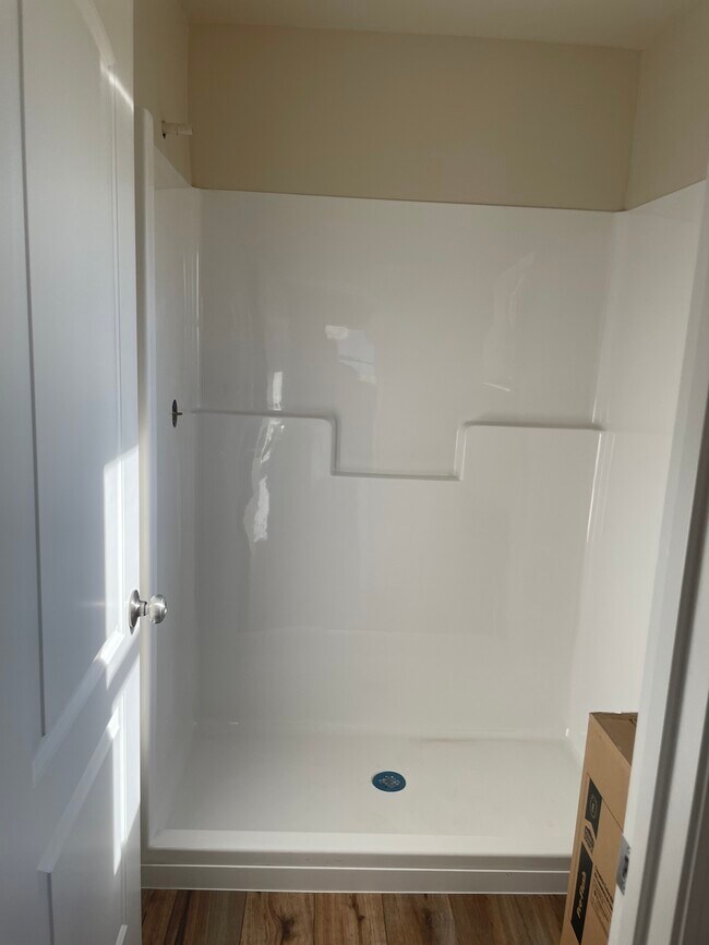 Master Shower - 860 E 1600 S