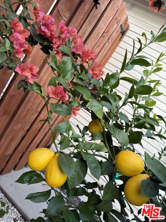 Building Photo - 531 Burchett St