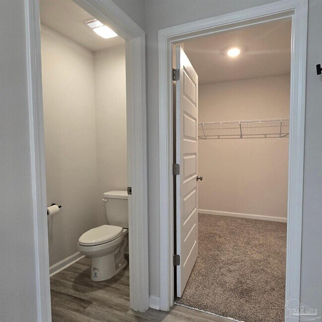 Building Photo - 4384 White Cedar Ct