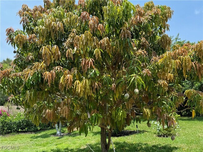 Building Photo - 1740 Ludlow Rd