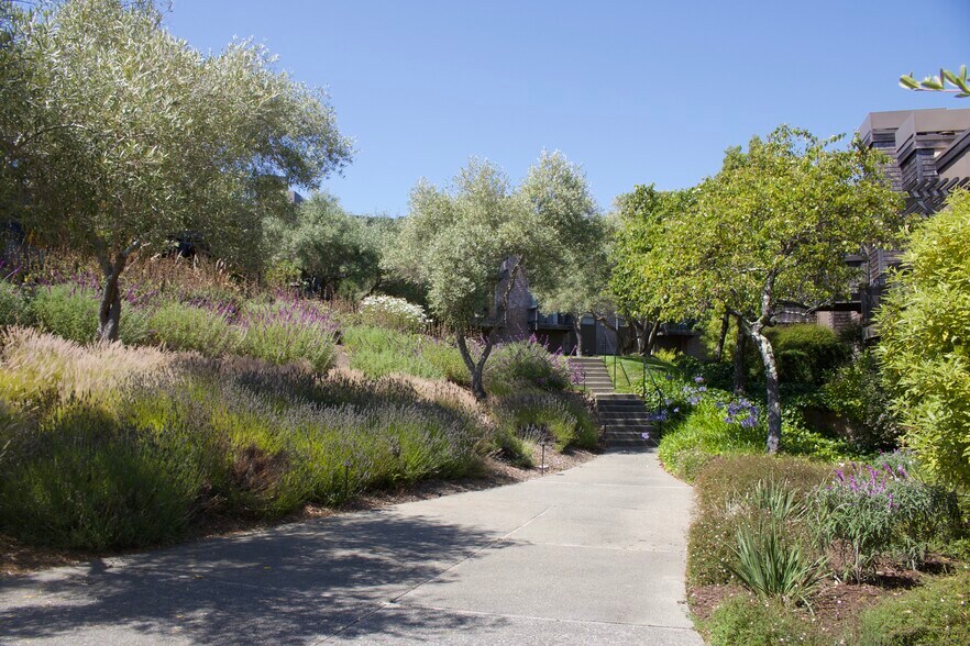 Gardens behind the apartment - 514 Seaver Dr