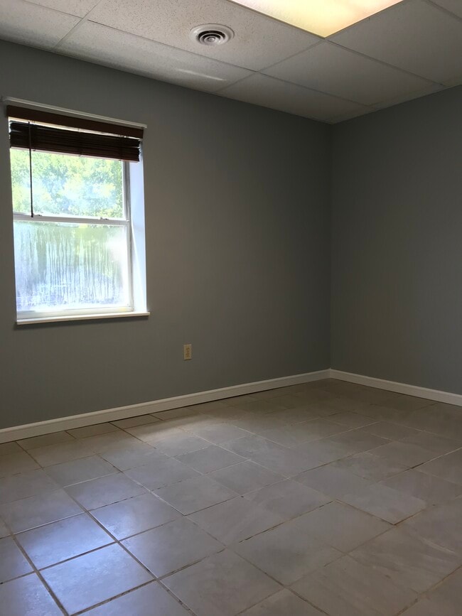 Building Photo - 1527 Meadow Spring Dr
