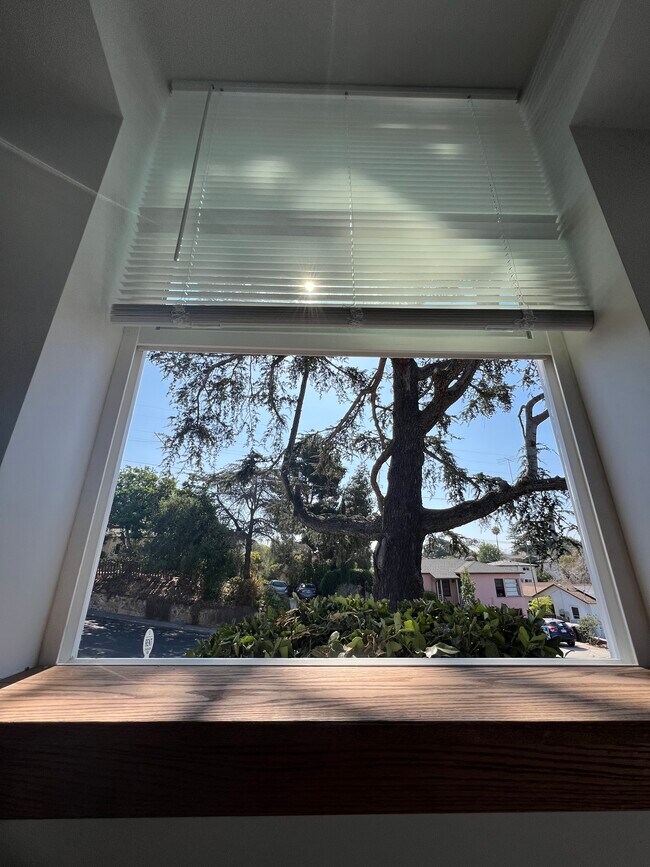 View from window - 4529 Valencia Dr