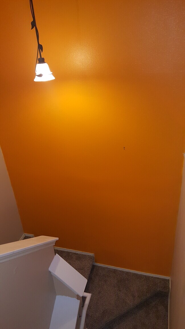 Stairs with Carpet and peacefull color wall and fixtures - 23631 Twisting Falls Drive