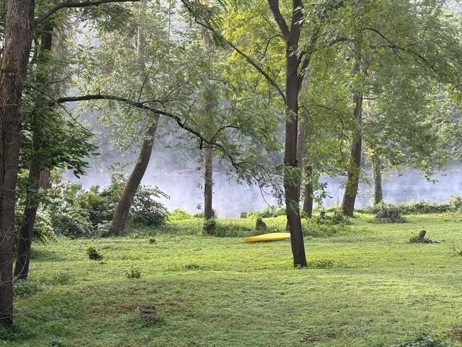 Building Photo - Riverfront home in a quiet spot, 3 acres, ...