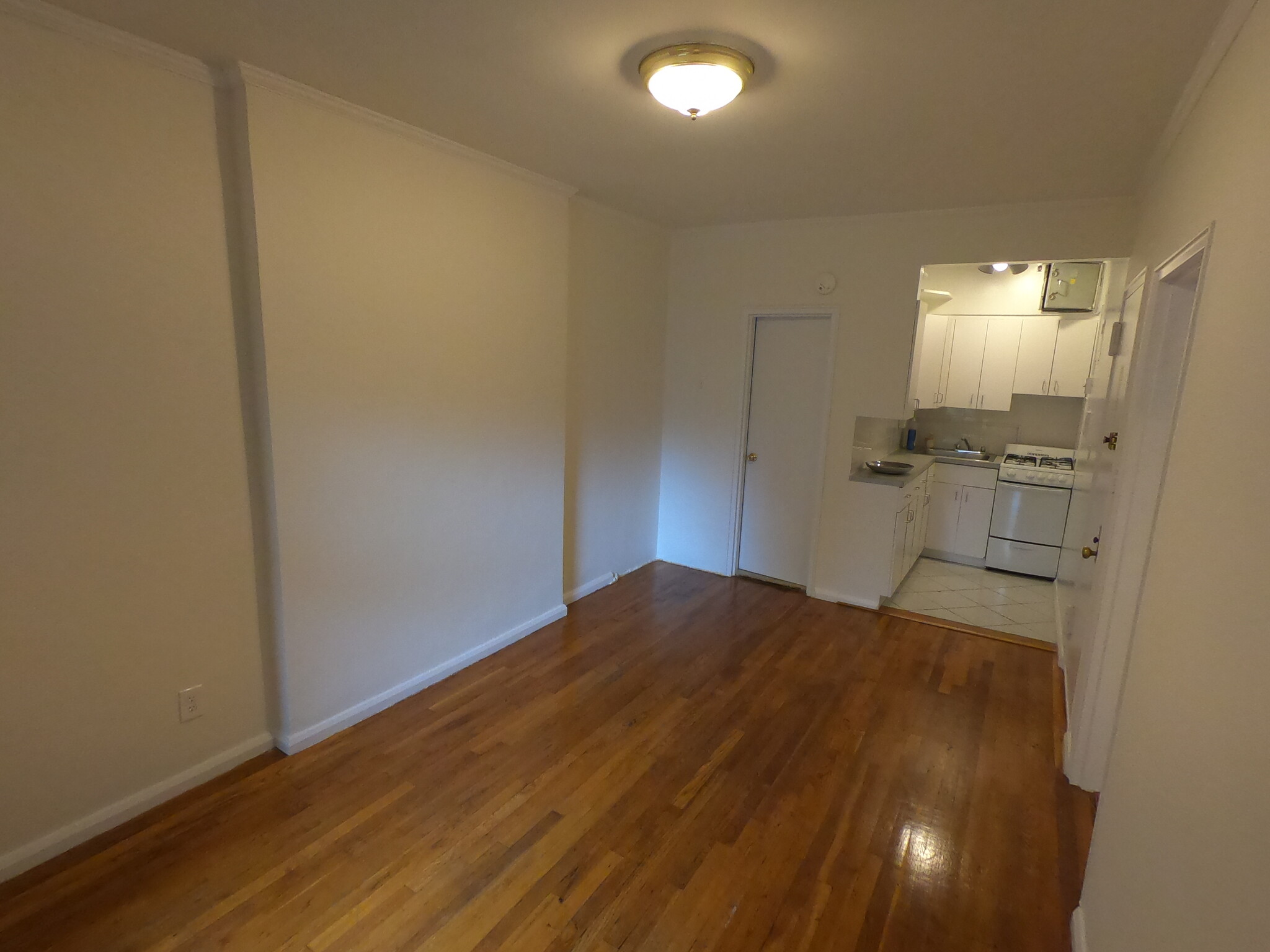 Living Room 4 - 156 W 95th St