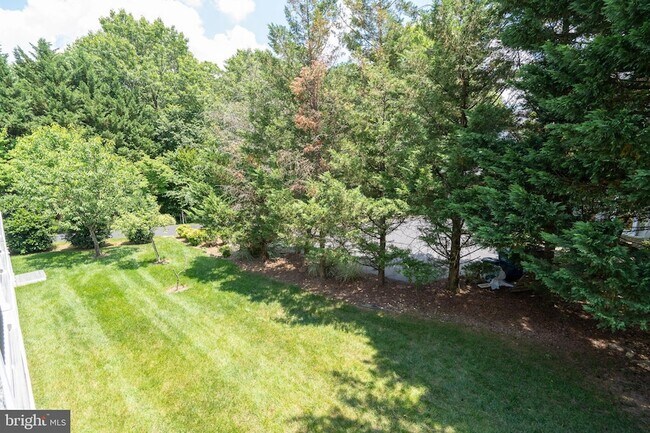 Building Photo - 4481 Shady Point Pl