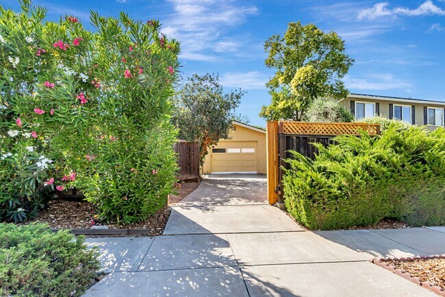 Building Photo - Stunning Updated Home in Almaden Valley