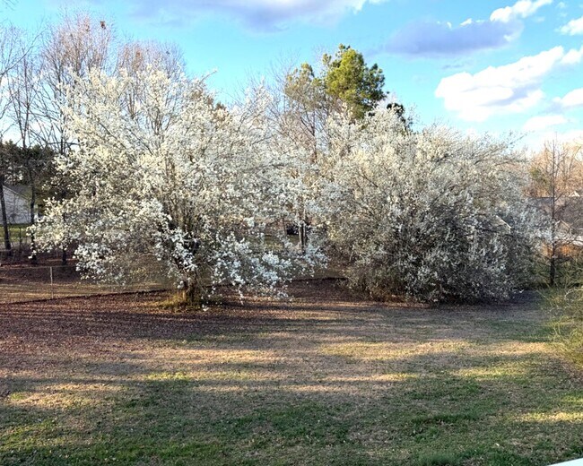 Building Photo - Spacious 5 bedroom 2 and a half bath home in Ringgold, GA