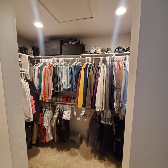 Master Closet - 261 E Ellen Ln