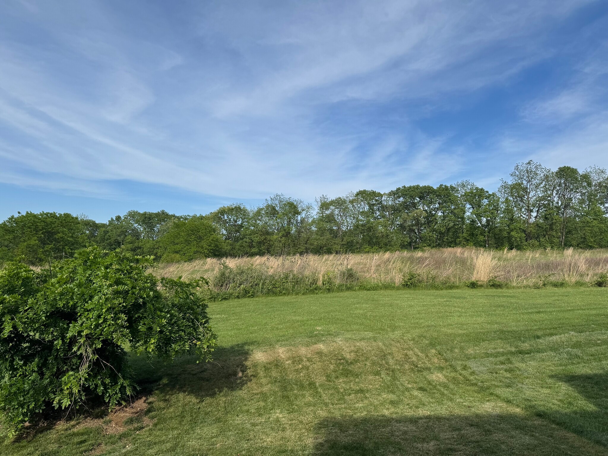 BACKYARD - 1537 Abigail Ln