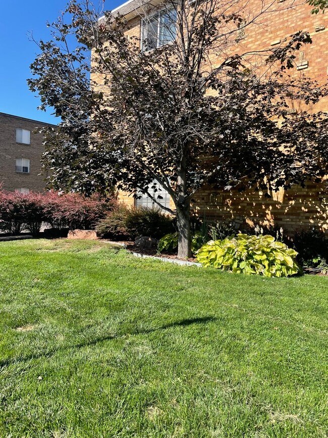 Interior Photo - Swedish Plaza Apartments