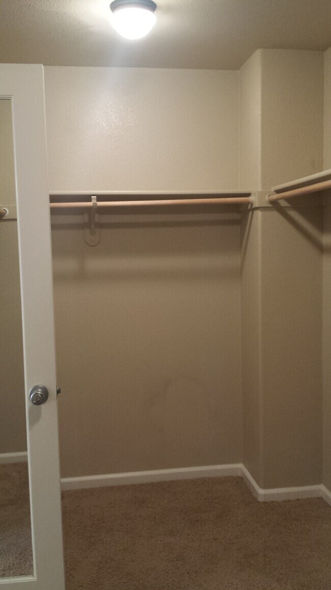 Building Photo - 1217 Fawn Lily Dr