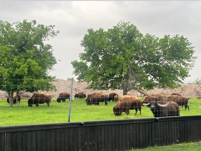 Building Photo - 11305 Sentinel Dr